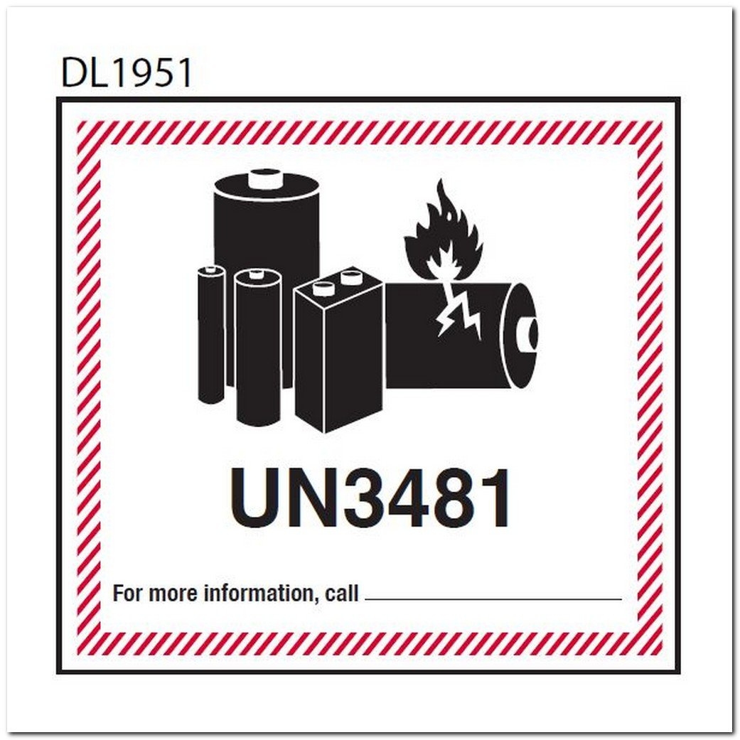 FREE Printable UN3481 Label PDF Printable Labels