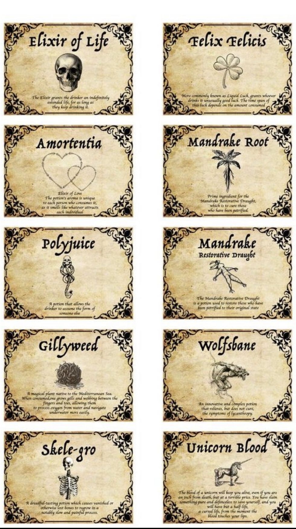 Harry Potter Potion Labels Free Printable Artofit